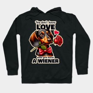 Dachshund Valentin's day Hoodie